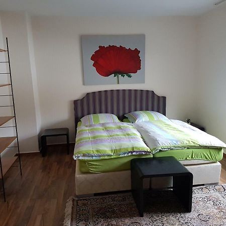 Kreuzau Modern-Comfort-Inn 1 מראה חיצוני תמונה